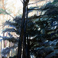 Barbara Goodman painting
