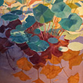 Barbara Goodman painting