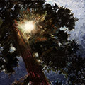 Barbara Goodman painting